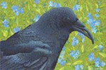 Buy Sun Raven Giclee Mini Print 5" x 7.75"