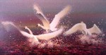 Buy Swan Art Print - Spirit of Flight 14" x 26"