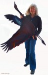 Gail Niebrugge Artist