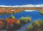Buy Fall Painting - Pristine Sanctuary