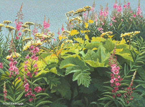 Buy Wildflowers 9″ x 12″ Print