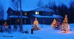 TreeLights