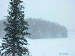 Blizzard
