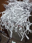 ShredderCroaked